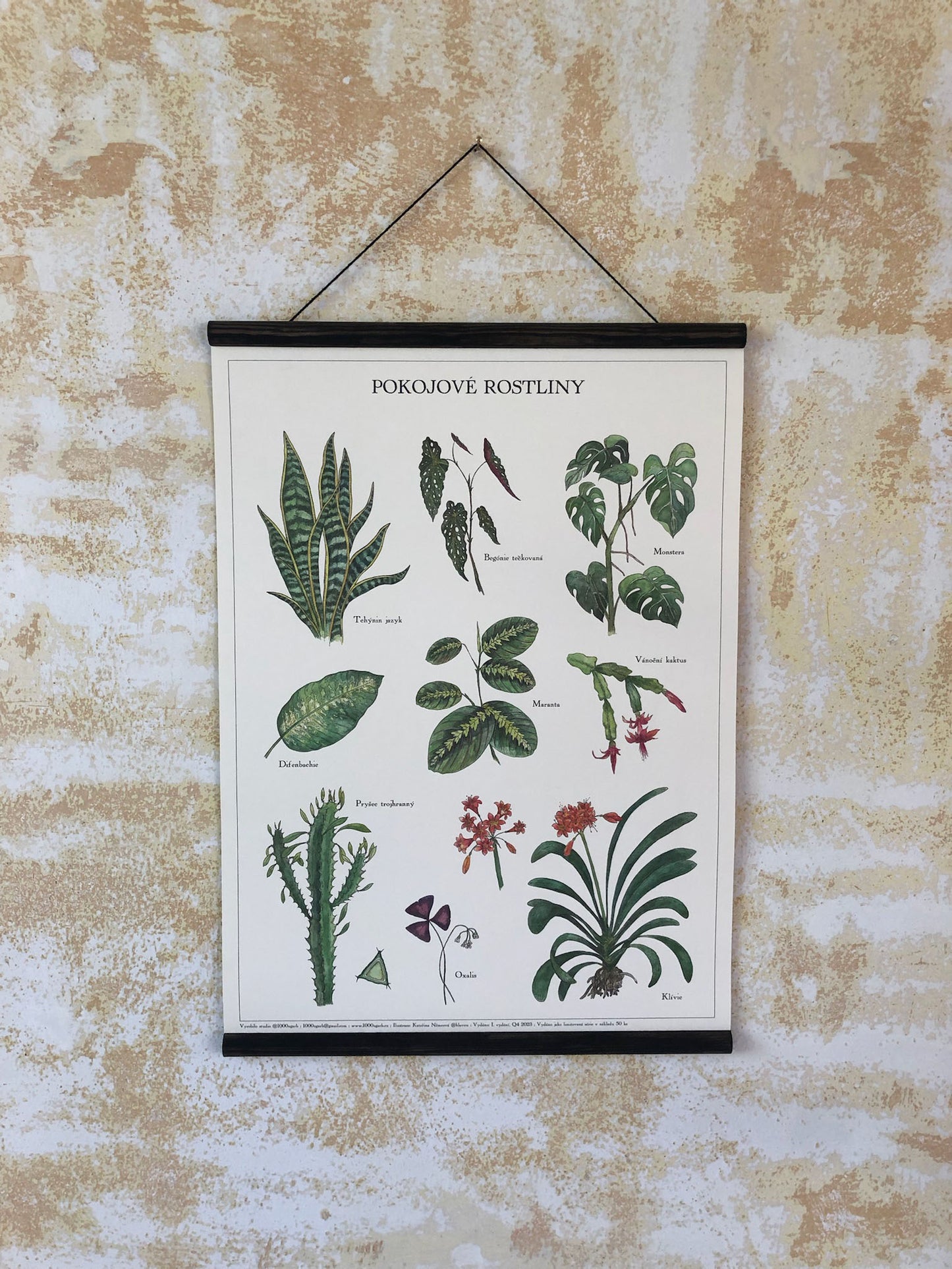 Poster indoor plants